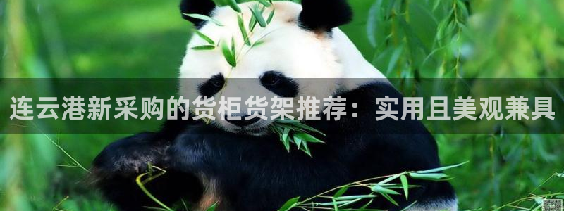 杏运体育官网