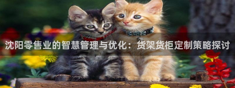 杏运体育官方网址登录
