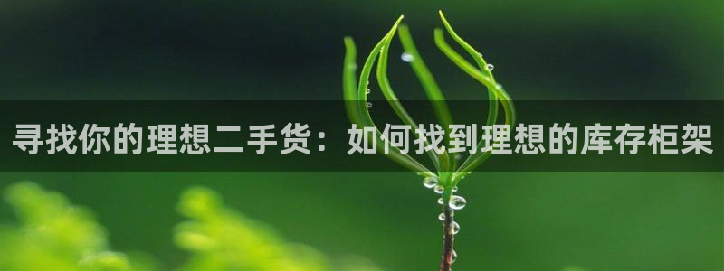 杏运体育官网