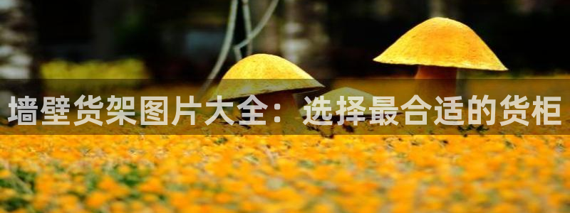 杏运汽车