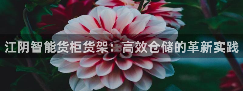 杏运体育娱乐