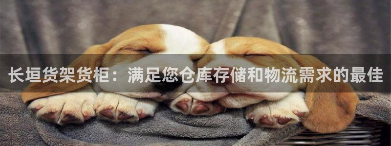 杏运汽车招商