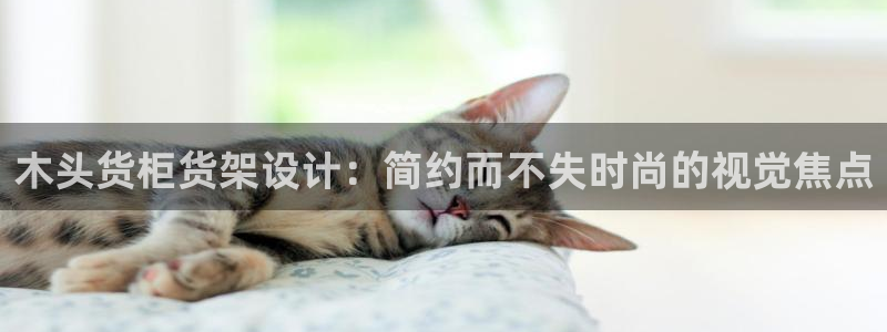杏运娱乐平台注册地址：木头货柜货架设计：