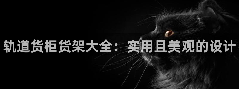 杏运注册登录：轨道货柜货架大全：实用且美