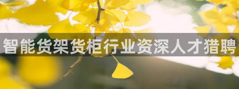 杏运娱乐怎么样：智能货架货柜行业资深人才