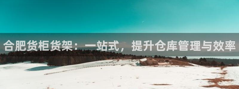 杏运娱乐：合肥货柜货架：一站式，提升仓库