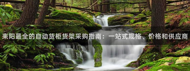 杏运注册：耒阳最全的自动货柜货架采购指南