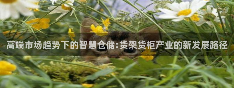 杏运注册账号
