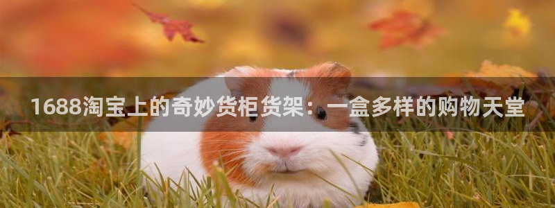 杏运体育登录