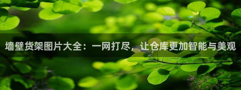 杏运体育官方网址：墙壁货架图片大全：一网