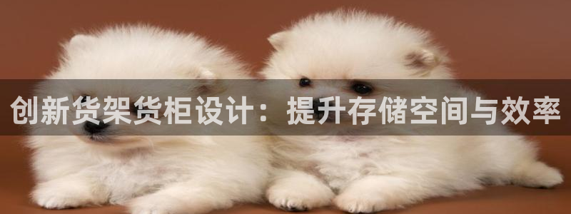 杏运代理：创新货架货柜设计：提升存储空间
