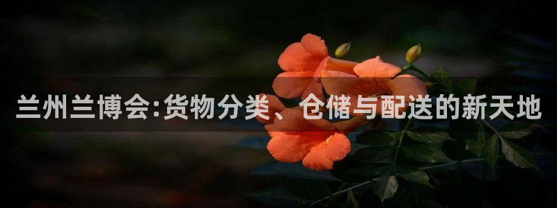 杏运新能源：兰州兰博会:货物分类、仓储与