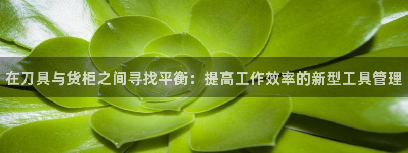 杏运平台注册：在刀具与货柜之间寻找平衡：