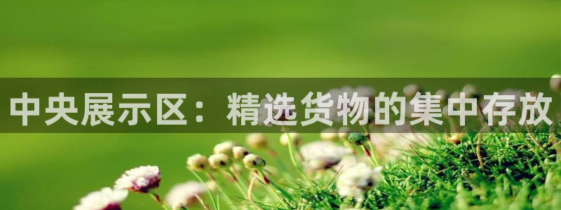 杏运注册平台