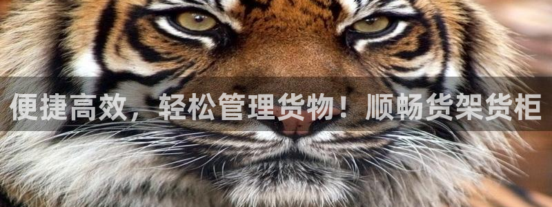 杏运体育平台正规吗安全吗