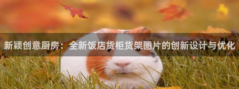 杏运新能源