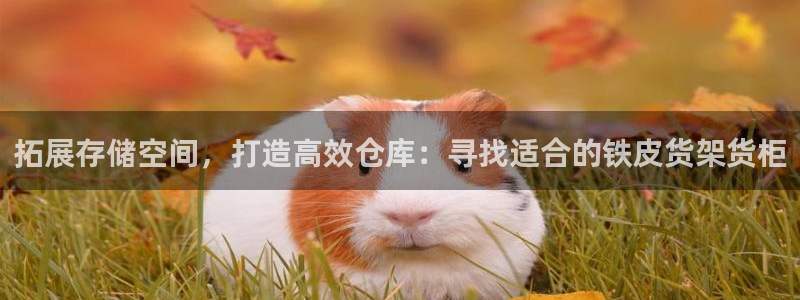 杏运体育登录
