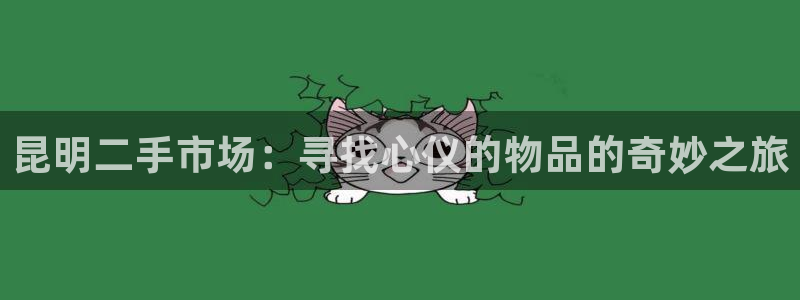 杏运平台注册：昆明二手市场：寻找心仪的物