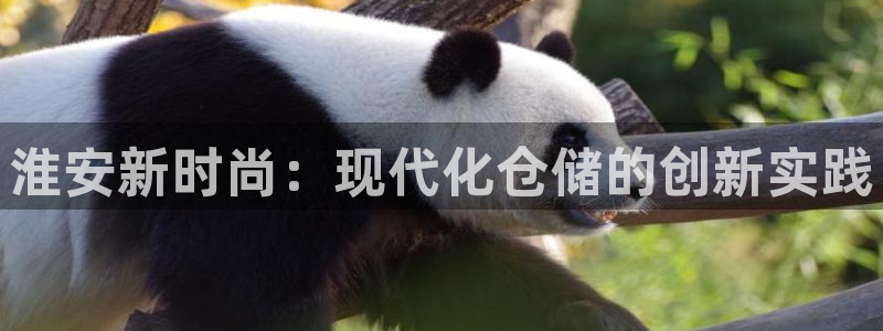 杏运体育登录