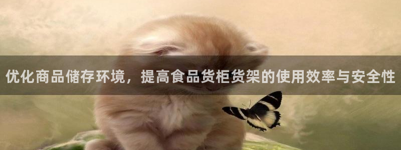 杏运注册账号
