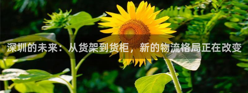 杏运体育不给出款