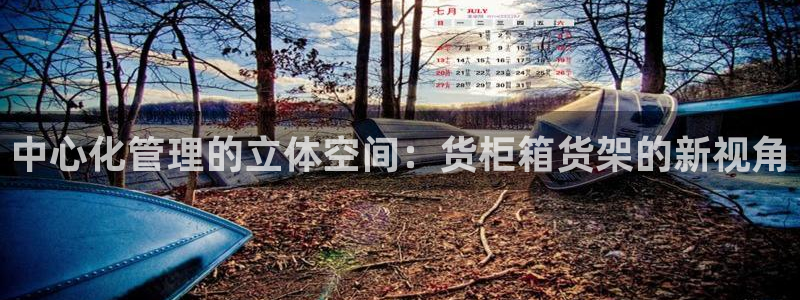 杏运注册账号：中心化管理的立体空间：货柜
