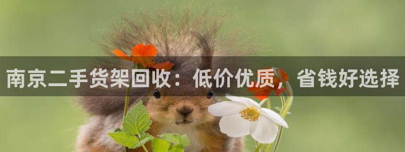 杏运娱乐怎么样