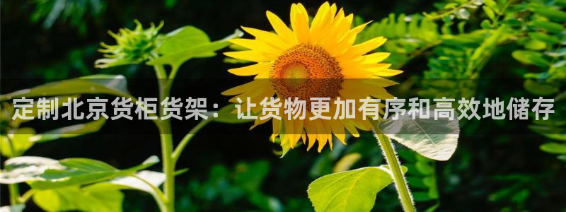 杏运体育怎么样