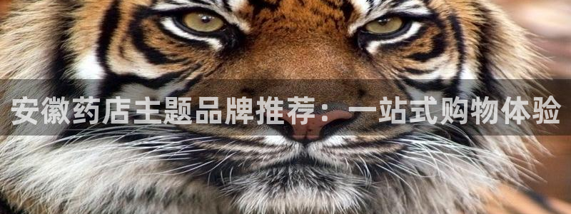 杏运平台官方网站