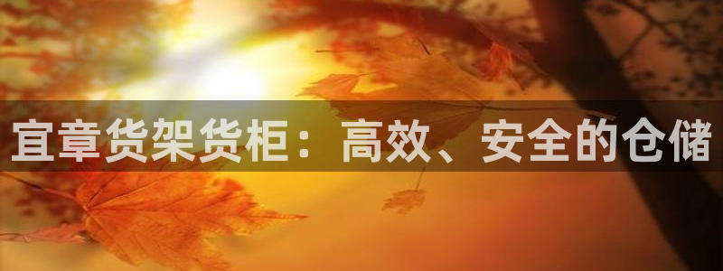 杏运娱乐：宜章货架货柜：高效、安全的仓储