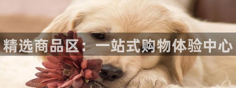 杏运注册平台：精选商品区：一站式购物体验